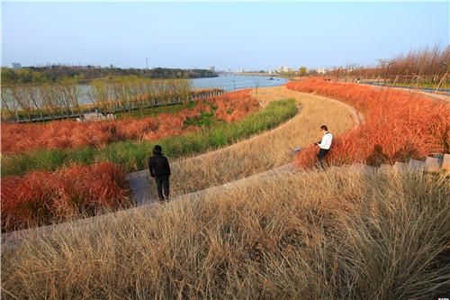 中國“城市海綿”—— 金華燕尾洲獲2015世界最佳景觀獎(jiǎng)